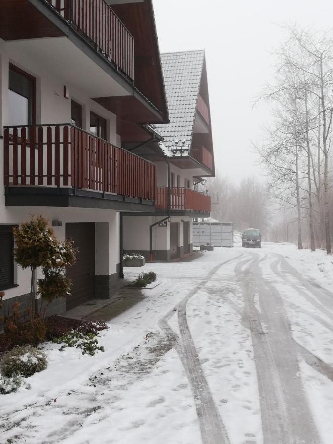 Antolka Apartment