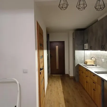 Apartament Antolka Zakopane Exterior foto